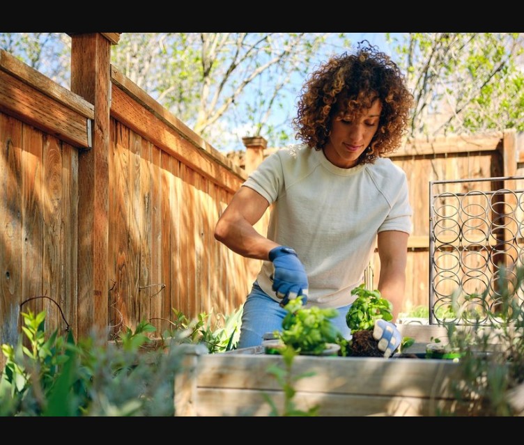 Herb Gardening