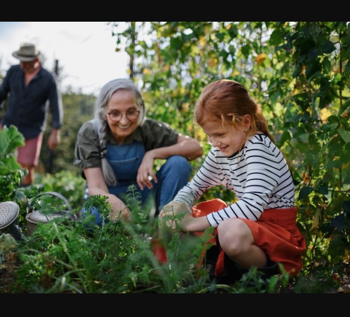 Sustainable Gardening