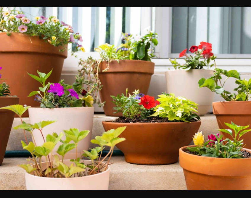 Container Gardening