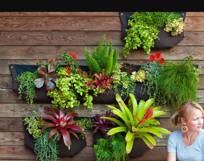 DIY Garden Projects to Transform Your Outdoor Space