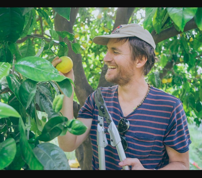 Nurturing Your Backyard Orchard: A Guide to Fruit Tree Care