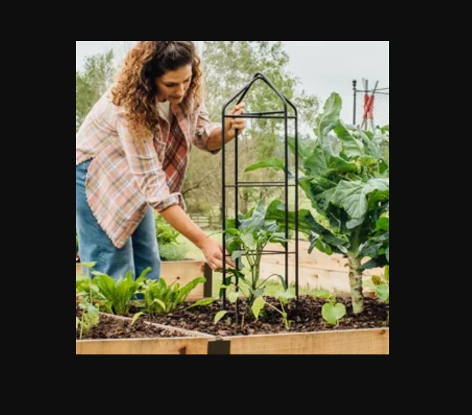 Raised Bed Gardening