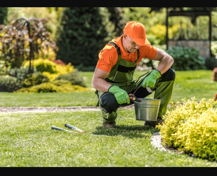 Seasonal Garden Maintenance