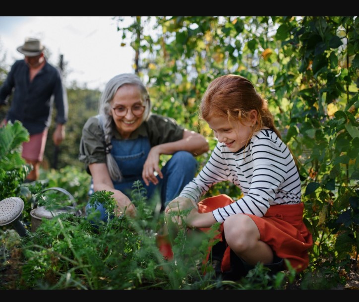 Sustainable Gardening Practices